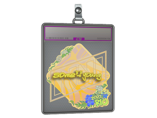 Sticker Slab | sdy (Holo) | Rio 2022