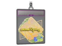 Sticker Slab | sdy (Holo) | Rio 2022