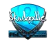 Sticker | Skadoodle | Krakow 2017 CS2 skin