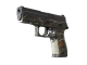 P250 | Small Game (Well-Worn)