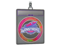 Sticker Slab | Winstrike Team (Holo) | Katowice 2019