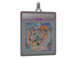 Sticker Slab | ICY (Holo) | Austin 2025