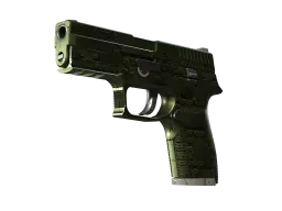 P250 | Iron Clad (Well-Worn)