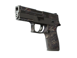 P250 | Facility Draft (Battle-Scarred)