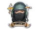 Sticker | Dinked CS2 skin