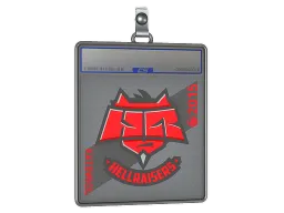 Sticker Slab | HellRaisers | Katowice 2015