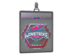 Sticker Slab | Winstrike Team (Holo) | London 2018
