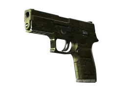 P250 | Iron Clad (Battle-Scarred)
