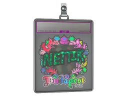 Sticker Slab | nettik (Holo) | Budapest 2025
