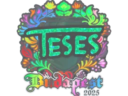 Sticker | TeSeS (Holo) | Budapest 2025