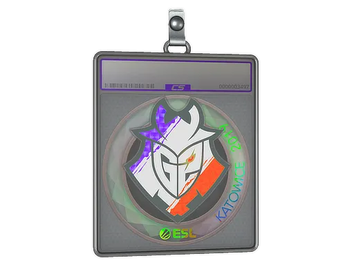 Sticker Slab | G2 Esports (Holo) | Katowice 2019