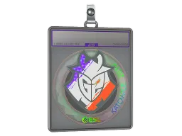 Sticker Slab | G2 Esports (Holo) | Katowice 2019