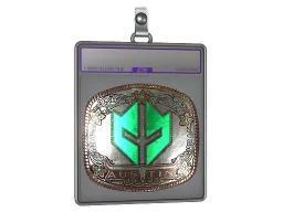 Sticker Slab | Imperial Esports (Foil) | Austin 2025
