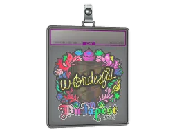 Sticker Slab | w0nderful (Holo) | Budapest 2025