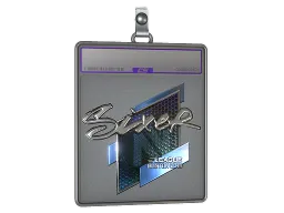 Sticker Slab | SIXER (Foil) | Boston 2018