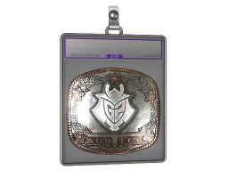 Sticker Slab | G2 Esports (Foil) | Austin 2025
