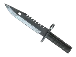 ★ M9 Bayonet | Damascus Steel CS2 skin
