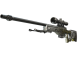 AWP | Worm God (Factory New)