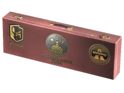 Copenhagen 2024 Overpass Souvenir Package