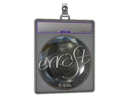 Sticker Slab | erkaSt (Foil) | Katowice 2019
