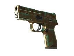P250 | Verdigris (Well-Worn)