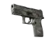 P250 | Facets CS2 skin