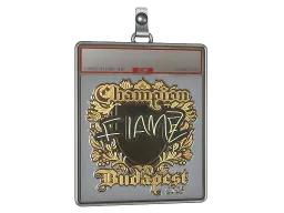 Sticker Slab | FlameZ (Gold, Champion) | Budapest 2025