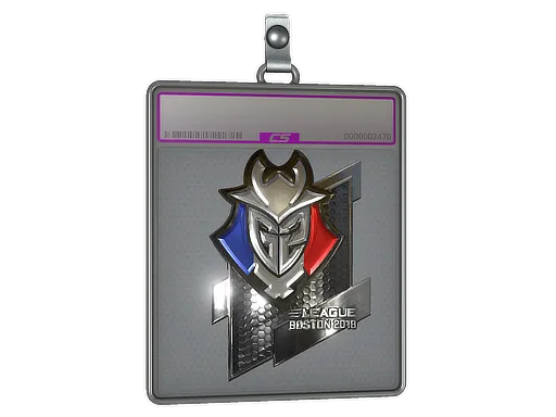 Sticker Slab | G2 Esports (Foil) | Boston 2018