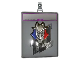 Sticker Slab | G2 Esports (Foil) | Boston 2018