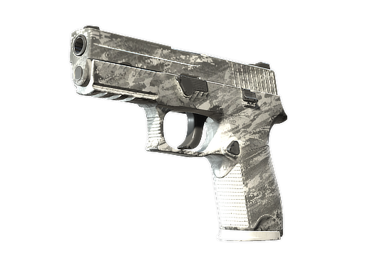 P250 | Sleet (Field-Tested)