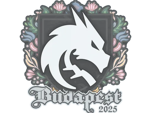 Sticker | Team Spirit | Budapest 2025