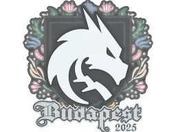 Sticker | Team Spirit | Budapest 2025