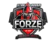 Sticker | forZe eSports | Berlin 2019 CS2 skin