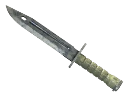 ★ StatTrak™ Bayonet | Stained (Field-Tested)