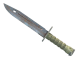 ★ StatTrak™ Bayonet | Rust Coat (Well-Worn)