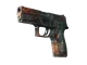 P250 | Supernova CS2 skin