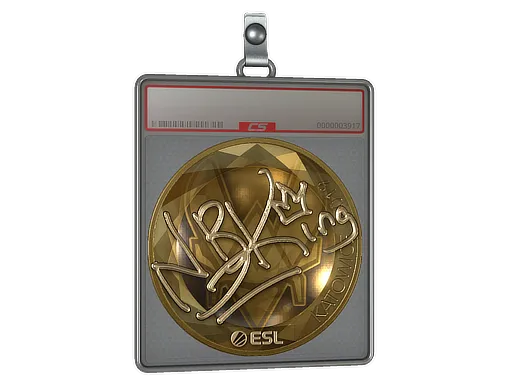 Sticker Slab | NBK- (Gold) | Katowice 2019