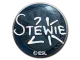 Sticker | Stewie2K | Katowice 2019 CS2 skin
