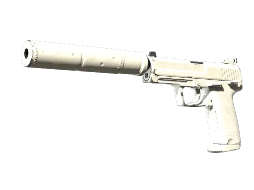 Souvenir USP-S | Whiteout (Well-Worn)