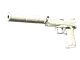 USP-S | Whiteout CS2 skin