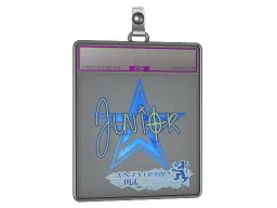 Sticker Slab | junior (Holo) | Antwerp 2022