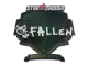 Sticker | FalleN | Berlin 2019 CS2 skin