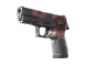 P250 | Constructivist CS2 skin