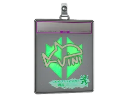 Sticker Slab | VINI (Holo) | Antwerp 2022