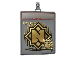 Sticker Slab | Nemiga (Gold) | 2020 RMR