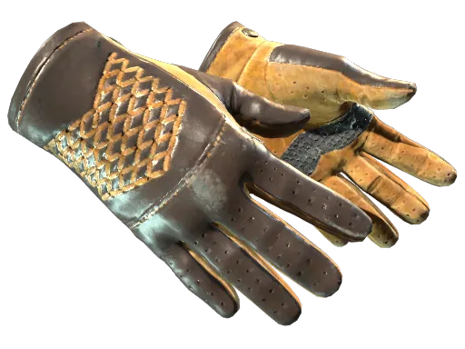 ★ Driver Gloves | Overtake (Field-Tested)