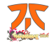 Sticker | Fnatic | Shanghai 2024