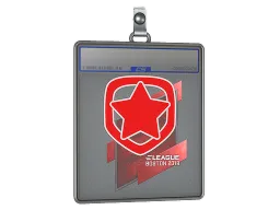Sticker Slab | Gambit Esports | Boston 2018