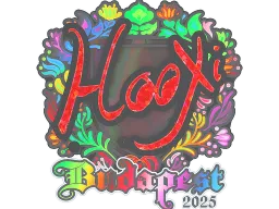 Sticker | HooXi (Holo) | Budapest 2025