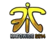 Fnatic (Foil) | Katowice 2014